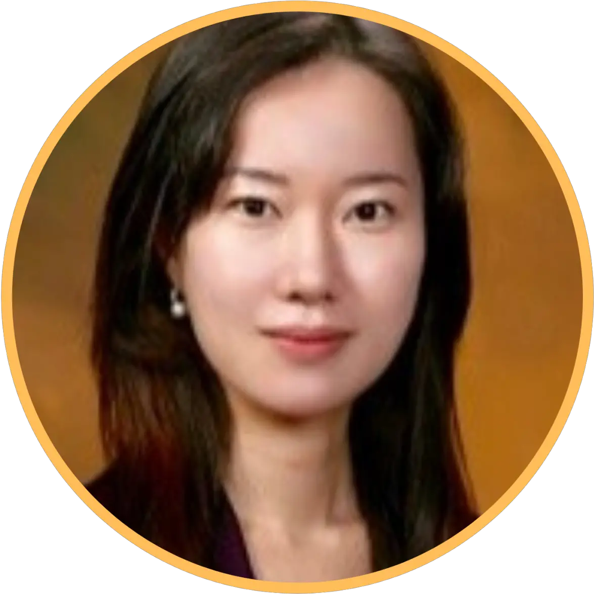  Alb Virtual Korea Corporate Compliance Forum 2020 Asian Png Lee Ji Eun Icon