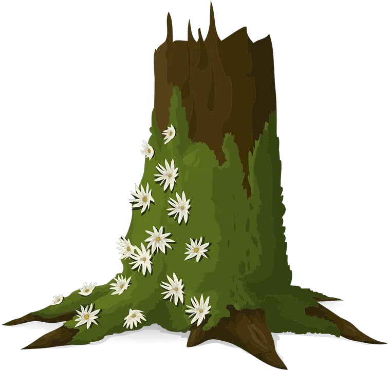  Trees Trunks Moss Moss Vector Png Moss Png