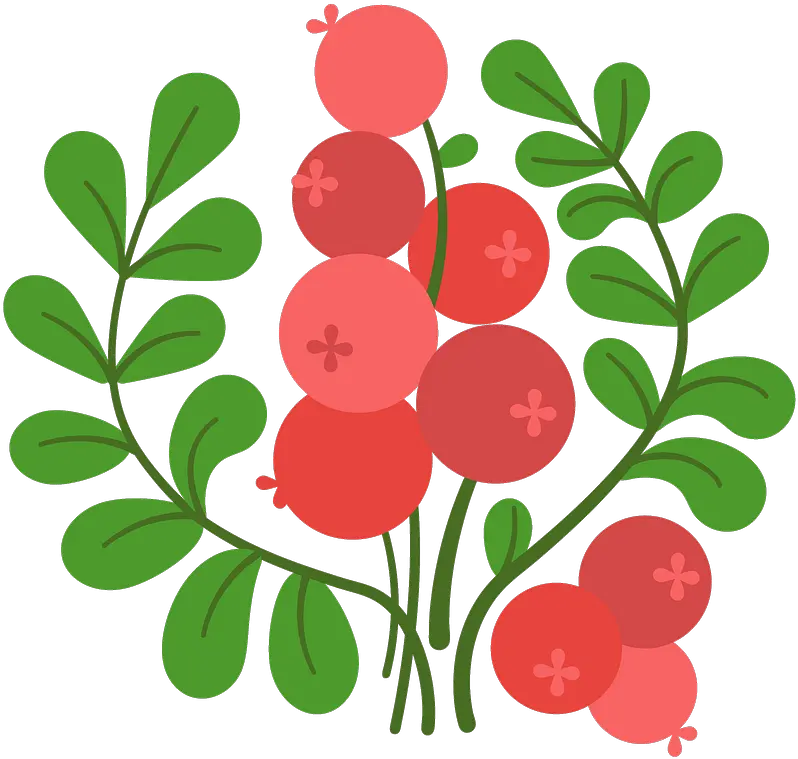  Clipart Cranberry Clipart Png Cranberry Png