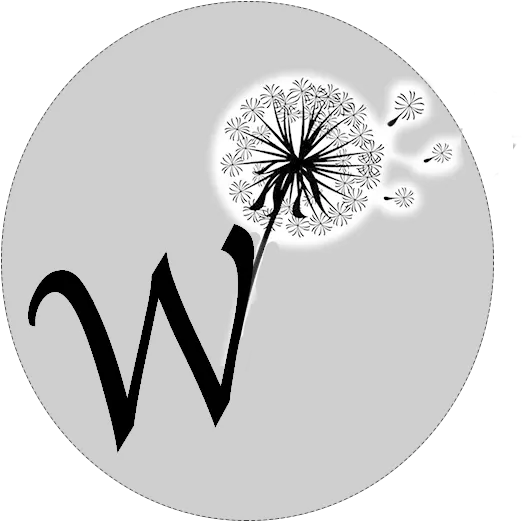  Hd Wish Logo Png Transparent Image Planets From Smallest To Largest Wish Logo Png