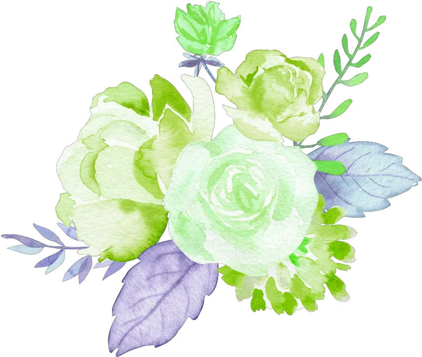  Roses Green Garden Flowers Watercolor Garden Roses Png Garden Flowers Png