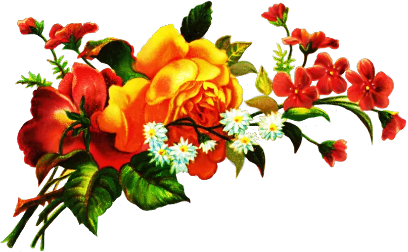  Digital Scrapbooking Flowers Digital Flowers Png Wild Flowers Png