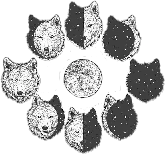  Freetoedit Moon Wolf Drawing Png Wolves Png