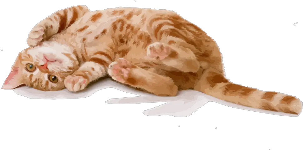  Carnivorefelidaekitten Png Clipart Royalty Free Svg Png Kitten Png