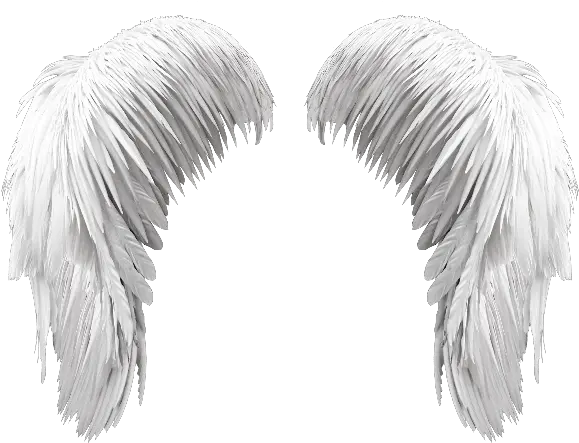  Halo Clipart Angels Wing Png Angel Wings Photoshop Wing Png