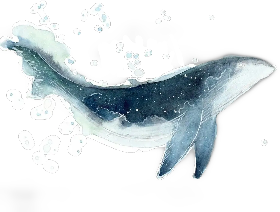  Whale Galaxy Watercolor Sticker By Luciacampos Whale Watercolor Png Whale Transparent