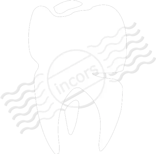  Iconexperience M Collection Tooth Icon Language Png Tooth Icon