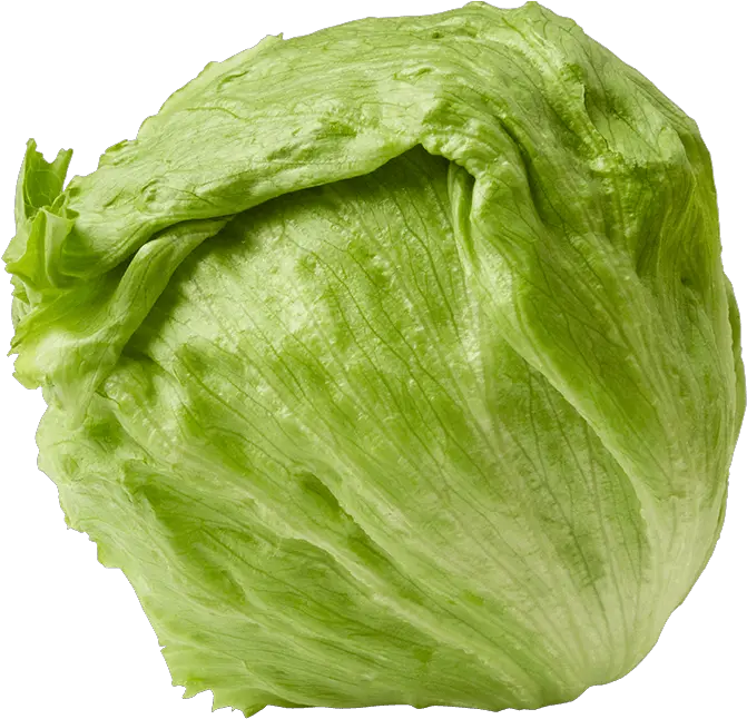  Week 26 Of Pregnancy Infant Uterus Lettuce Png Download Week 26 Pregnancy Fruit Lettuce Png