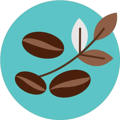  Bean Coffee Leaf Leave Icon Hoja De Cafe Png Leave Png