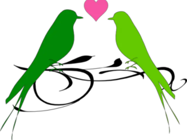  Library Of Lovebird Picture Png Files Transparent Love Birds Png Parrot Transparent Background