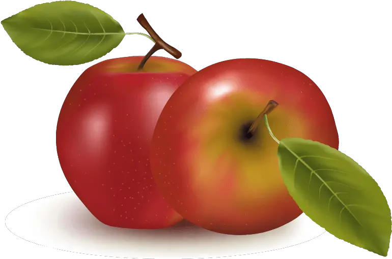  Orange Apple Apricot Cherry Plum Png Images Download Vector 8 Kinds Of Fruits Plum Png