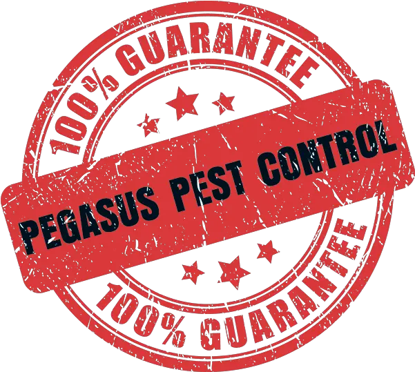  Pest Control Company In Elk Grove Ca Language Png Red Pegasus Logo