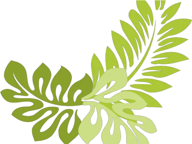  Download Jungle Plants Cliparts Transparent Jungle Leaves Clipart Png Leaves Clipart Png