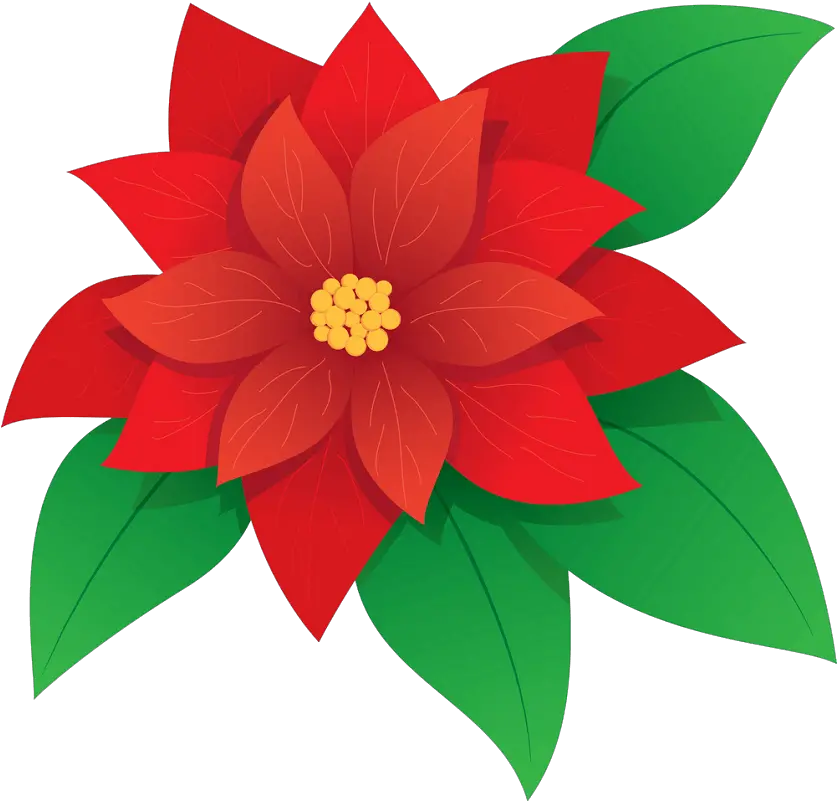  Poinsettia Clipart Transparent Poinsettia Png Poinsettia Icon Png