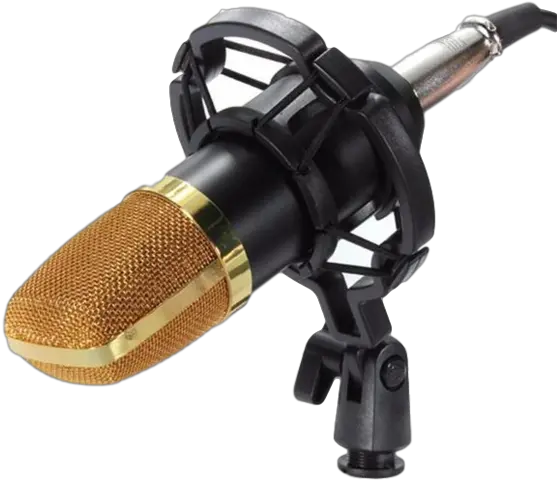  Download Hd Mcp02 Professional Studio Condenser Microphone Bm 100 Microphone Png Studio Microphone Png