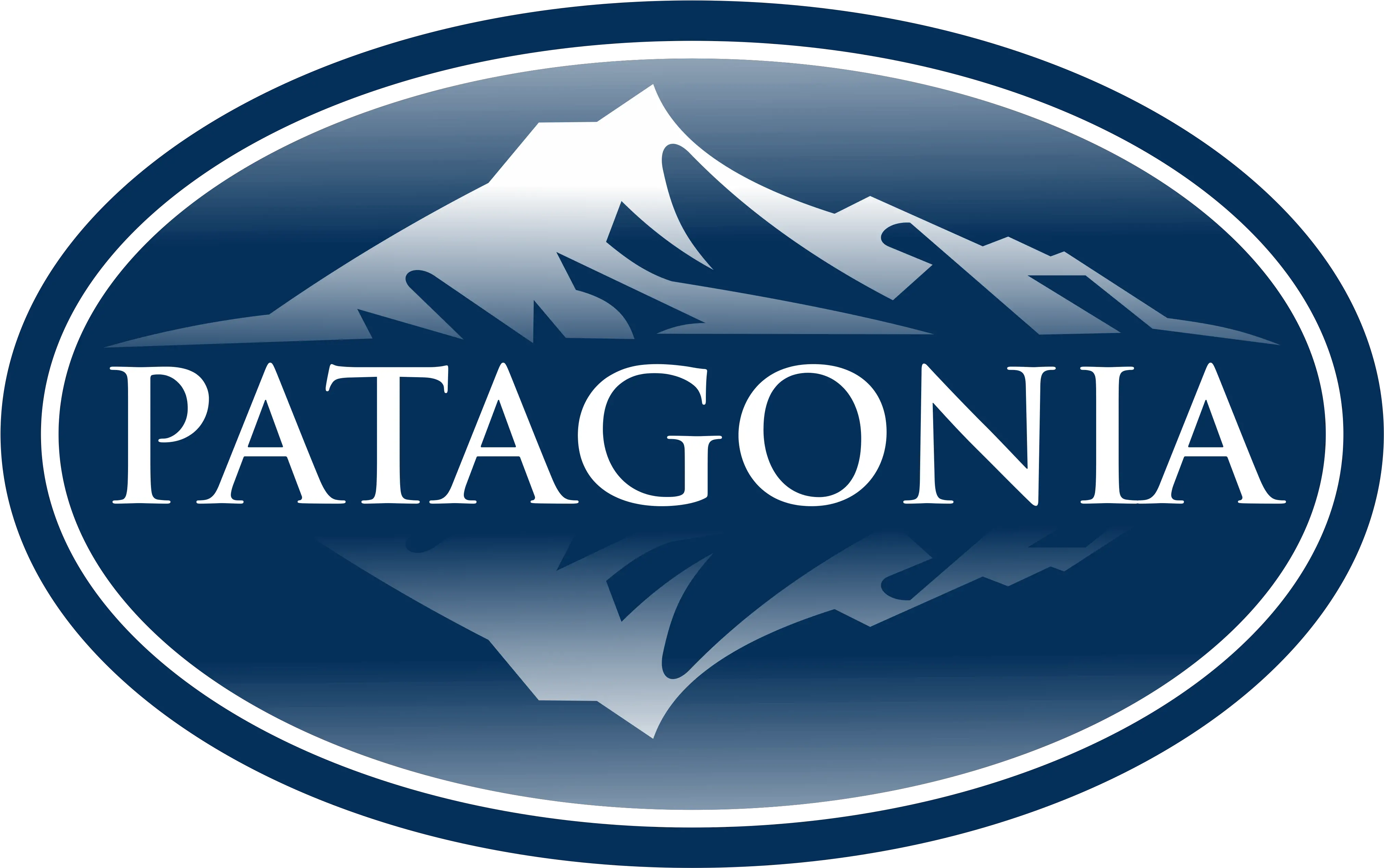  Patagonia Land Public Transport Commission Png Patagonia Logo Transparent