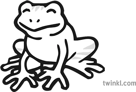  Frog Icon Black And White Illustration Frog Icon White Black Png Frog Icon Png