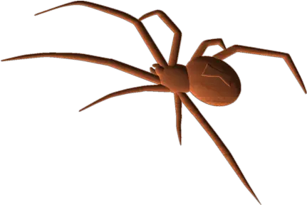  Blackwidow Spider Transparent Background Spider Transparent Png Black Widow Spider Png