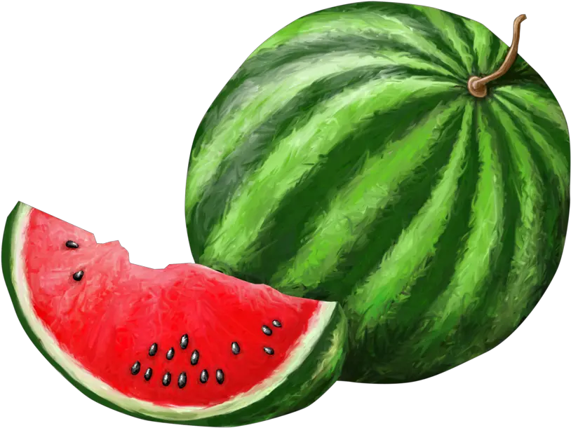  Watermelon Png Background Mart Watermelon Melon Png