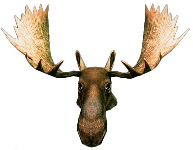  Moose Head Png Picture 684022 He 1719975 Png Moose Head Png Moose Png