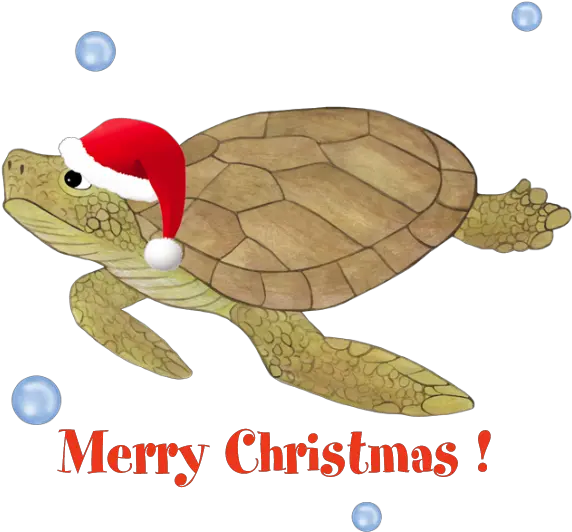  Download Favorite Merry Christmas Sea Turtle Png Image Turtle Christmas Background Turtle Transparent Background