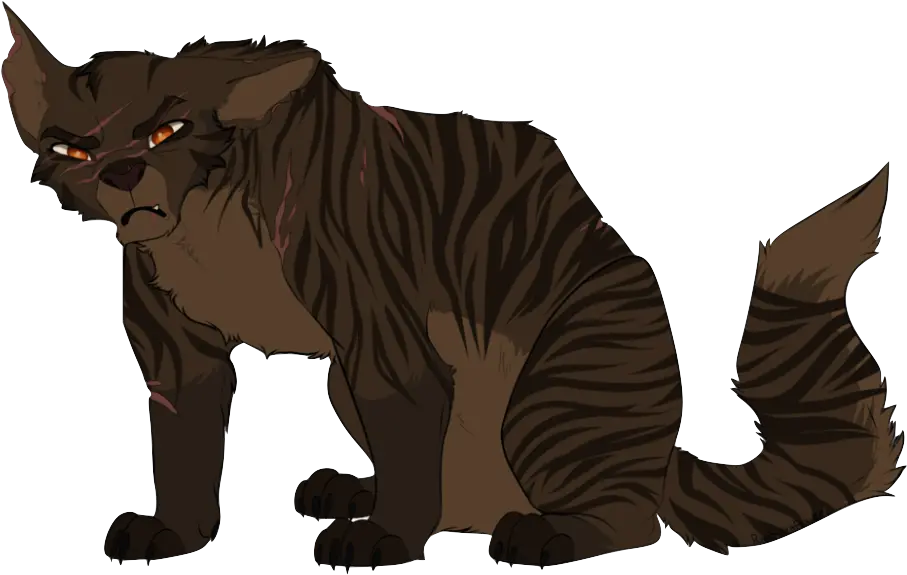  Download Cheeto Cat With Broad Shoulders Full Size Png Warrior Cats Purespiritflower Cheeto Transparent