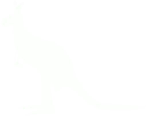  White Kangaroo 4 Icon Kangaroo Icon White Png Kangaroo Logo