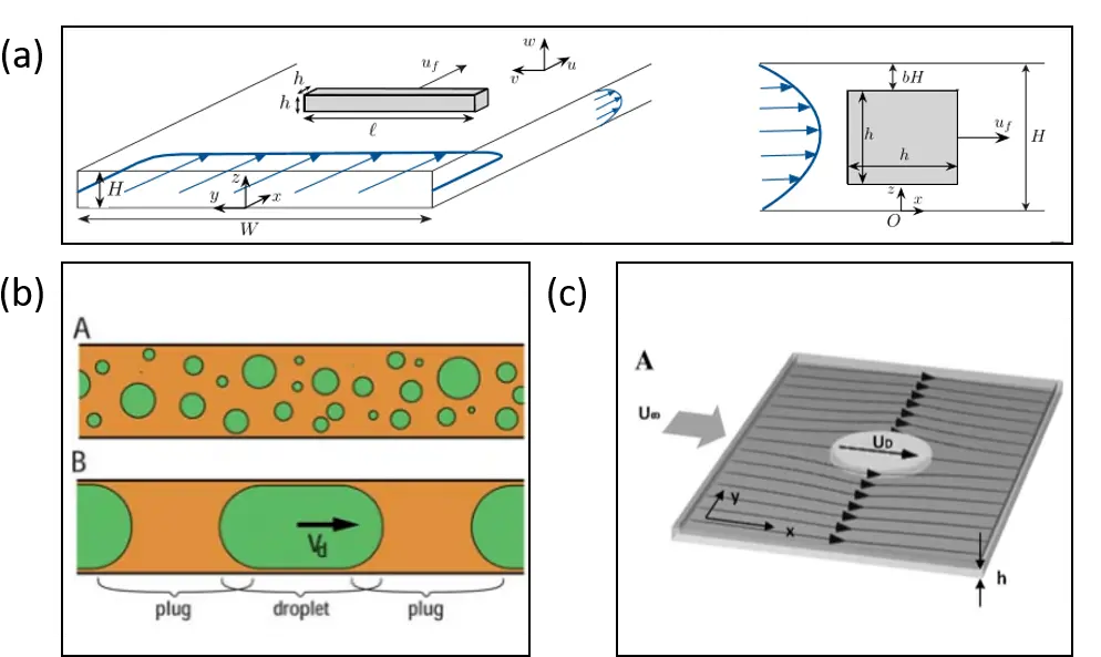  Confined Particles In Microfluidic Devices A Review Elveflow Horizontal Png Particles Transparent