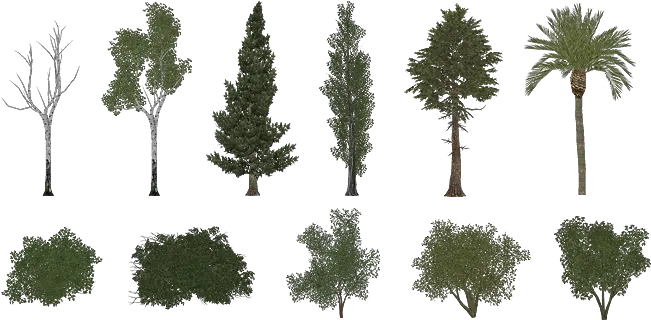  Pro Cycling Manager Foliage Pack Zoo Tycoon 2 Tree Png Zoo Tycoon 2 Icon