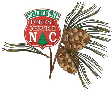  North Carolina Educational State Forests Nc Forest Service Logo Png Forest Service Logo