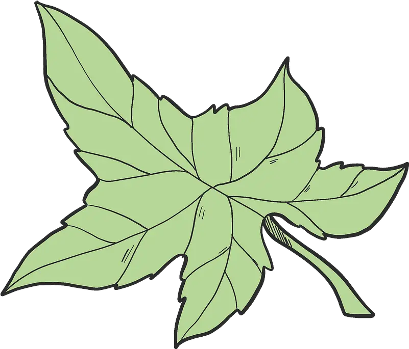  Ivy Leaf Clipart Free Download Transparent Png Creazilla Ivy Leaf Clipart Ivy Transparent