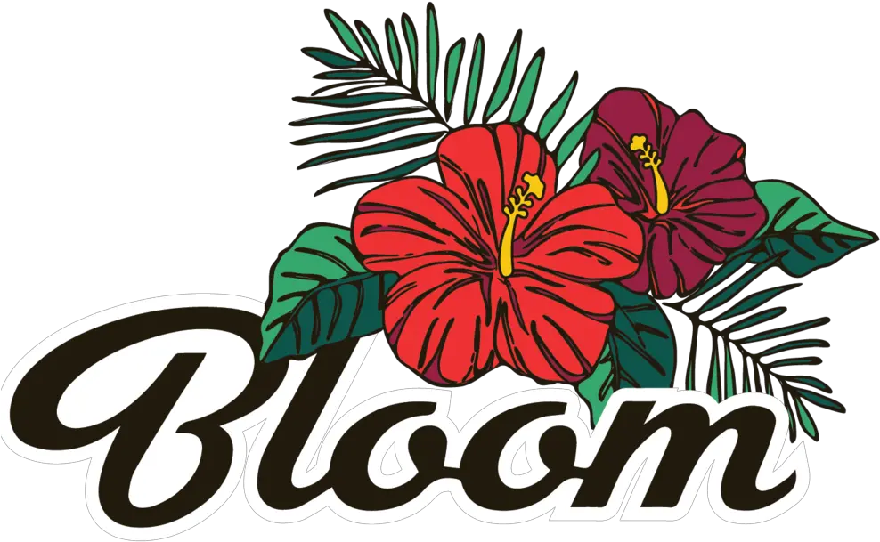  Hibiscus Clipart Shrub Hawaiian Hibiscus Png Download Clip Art Hibiscus Png