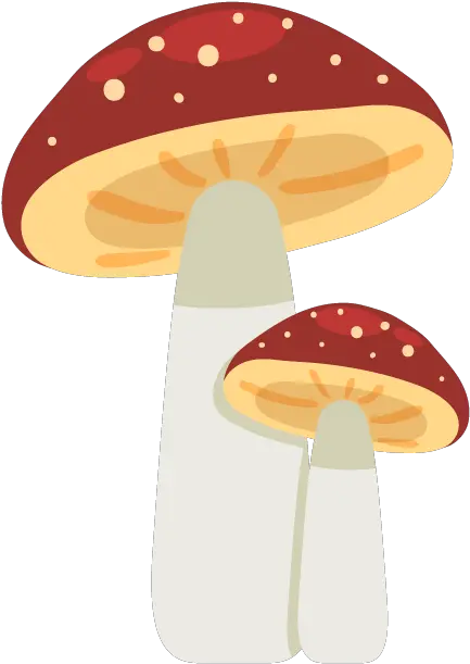  Mushroom Cartoon Clip Art Cartoon Mushroom Png Mushroom Png