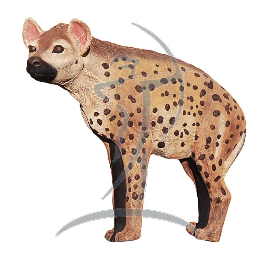  Download Asenwildcrete 3d Hyena Large Spotted Hyena Png Hyenas Hyena Png