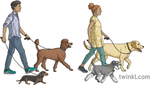  Man And Woman Walking Dogs Animals People Ni Linguistic Leash Png People Walking Dog Png