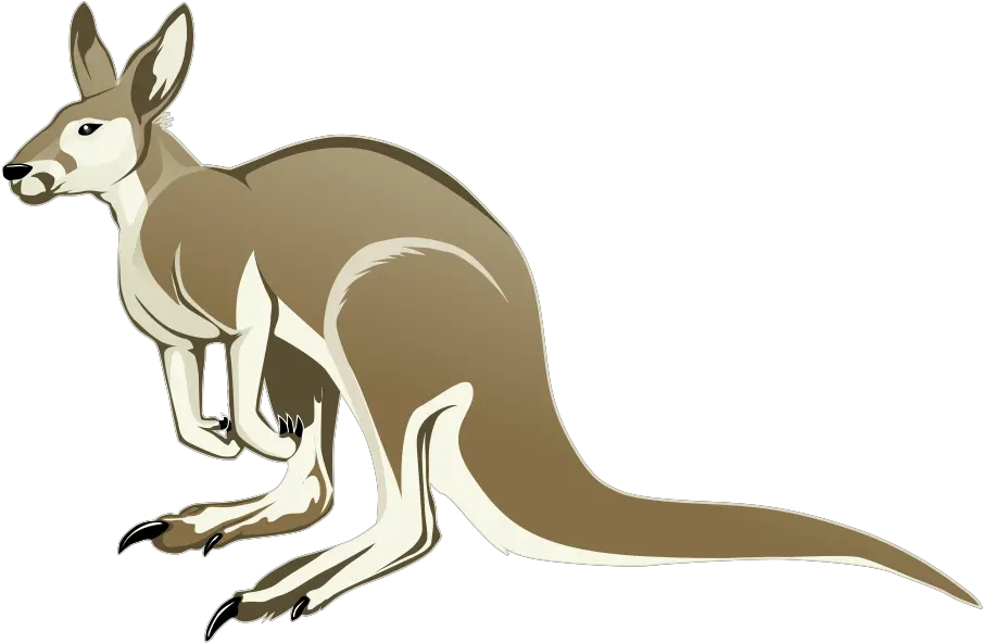  Kangaroo Png Transparent Clipart Image Cartoon Kangaroo Transparent Background Kangaroo Transparent Background