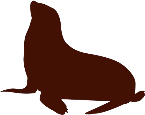  Sea Lion Silhouette Illustration Siluetas De Leon Marino Png Sea Lion Png