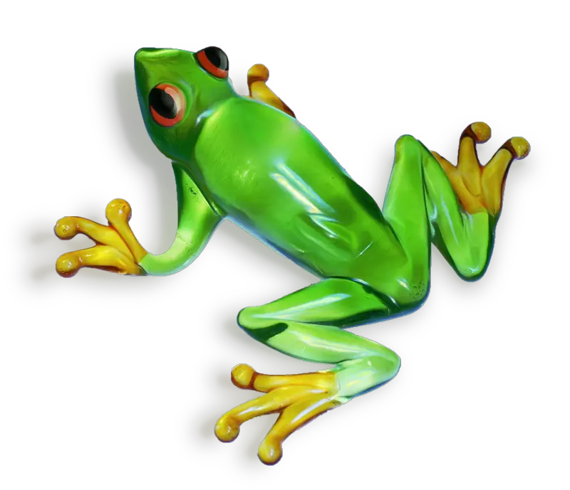  Amazing High Portable Network Graphics Png Frog Transparent Background