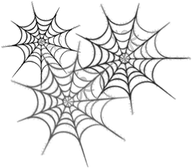  Spider Webs With Words Png Words In Spider Web Webs Png