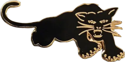  Black Panther Party Black Panther Party Lapel Pin Png Black Panther Party Logo