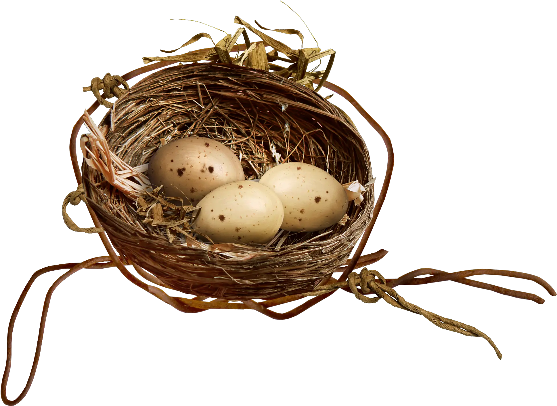  Egg Clipart Nest Transparent Free For Download Nest Clipart Png Nest Png