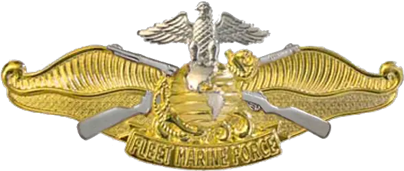  Fleet Marine Force Insignia Military Wiki Fandom Fmf Officer Png Eagle Globe And Anchor Png