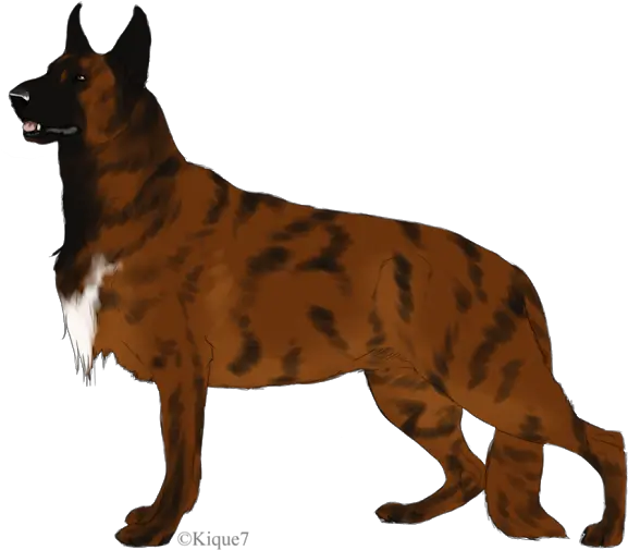  German Shepherd Puppies Moose Art Great Dane Clipart German Shepherd Png Great Dane Png