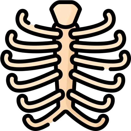  Rib Cage Free Healthcare And Medical Icons Ribs Black Transparent Png Rib Cage Png