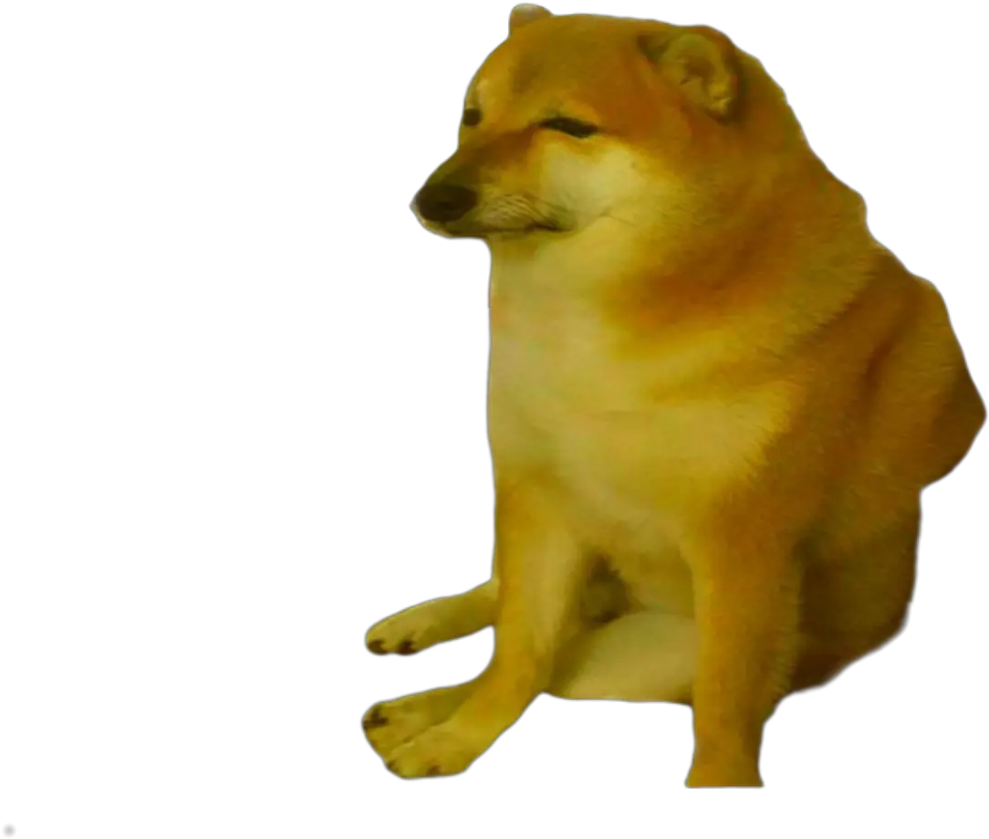  You Ask Receive Sad Cheems Png Dogelore Cheems Doge Shiba Inu Png