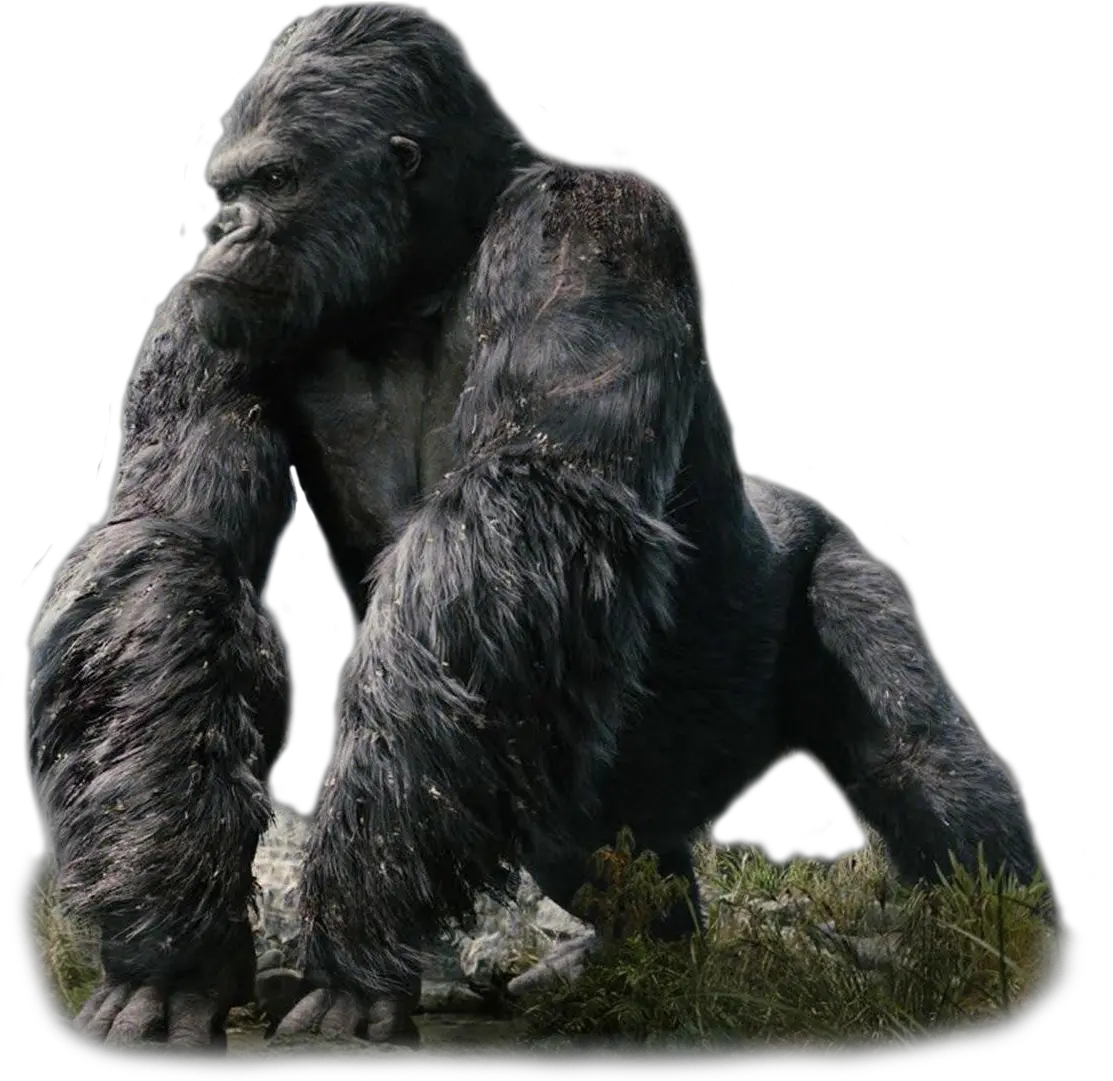  Download Kong Transparent King Kong Png Kong Png