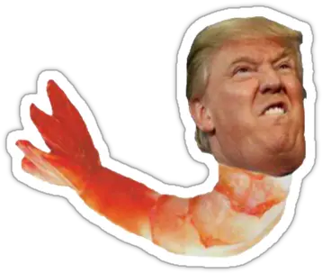  Shrimp Trump Stickers Sticker Design Donald Trump Shrimp Png Trump Head Transparent