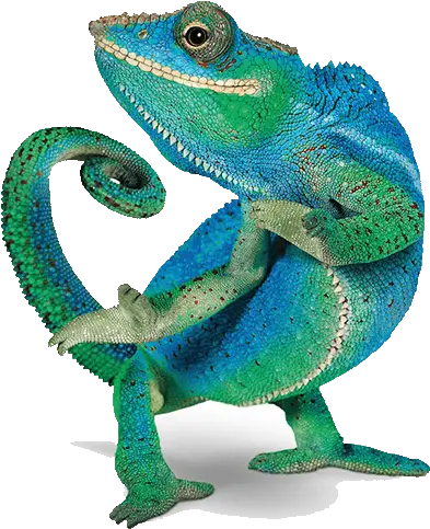  Download Telus Chameleon Png Image With No Background Telus Lizard Chameleon Png