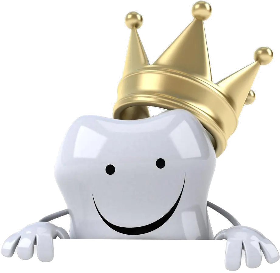  Teeth Png Image Transparent Background Transparent Single Teeth Png Tooth Transparent Background