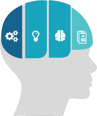  What We Provide U2013 Terrace Metrics For Adult Png Metric Icon